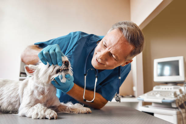 Best 24-Hour Emergency Dentist in Freeport, TX